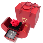 Eternal Rose Box - With Real Rose & Necklace