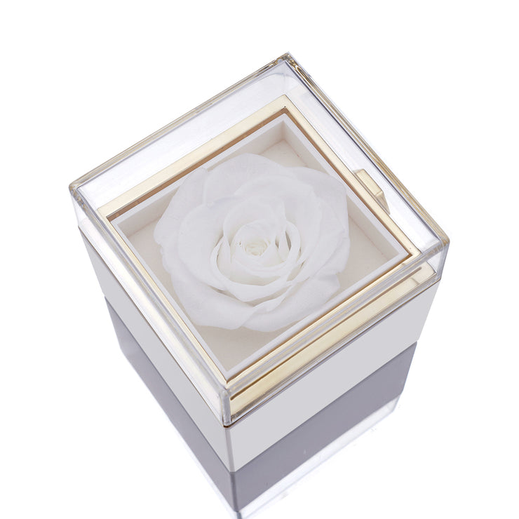 Permanent Roses Box Eternal Rose Box - W/ Engraved Necklace & Real Rose – FabuLove