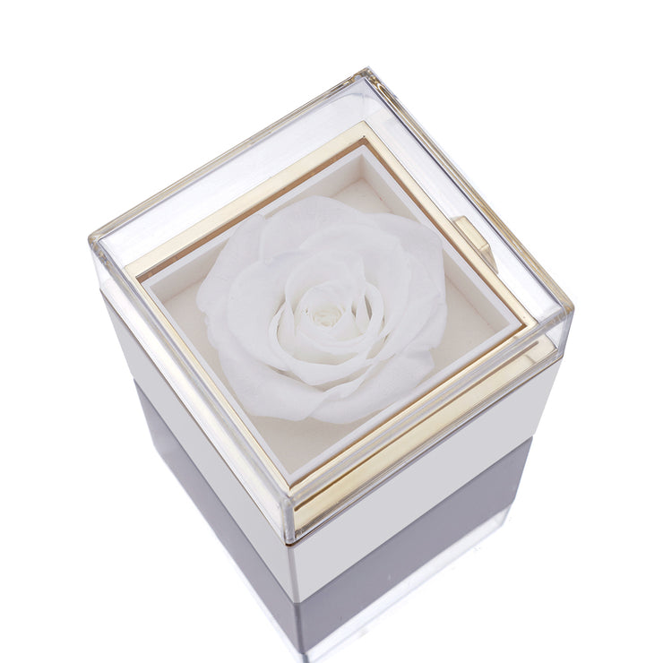 Caja de Rosa Eterna - Con Anillo de Proyección y Rosa Real