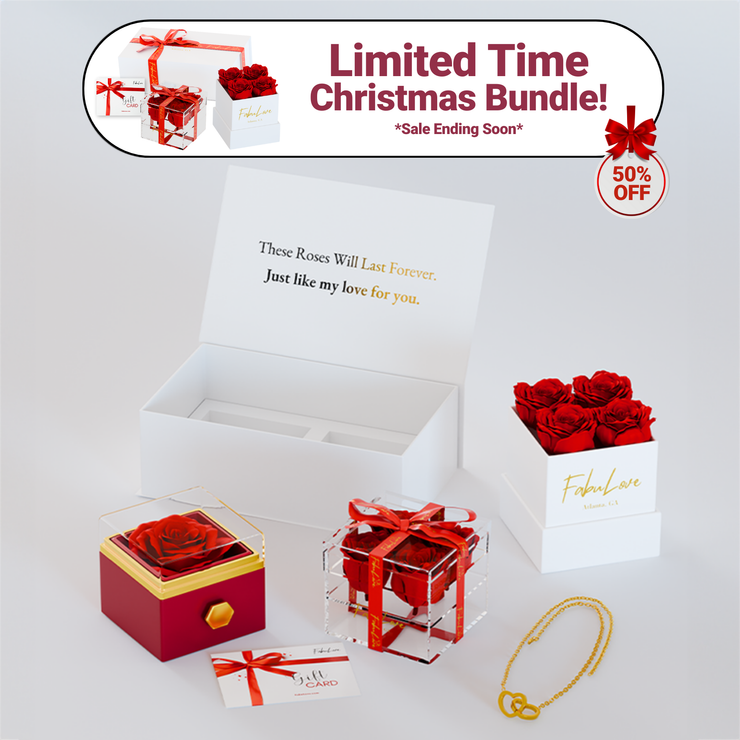 Weihnachts-Ewige-Rosen-Box-Bundle