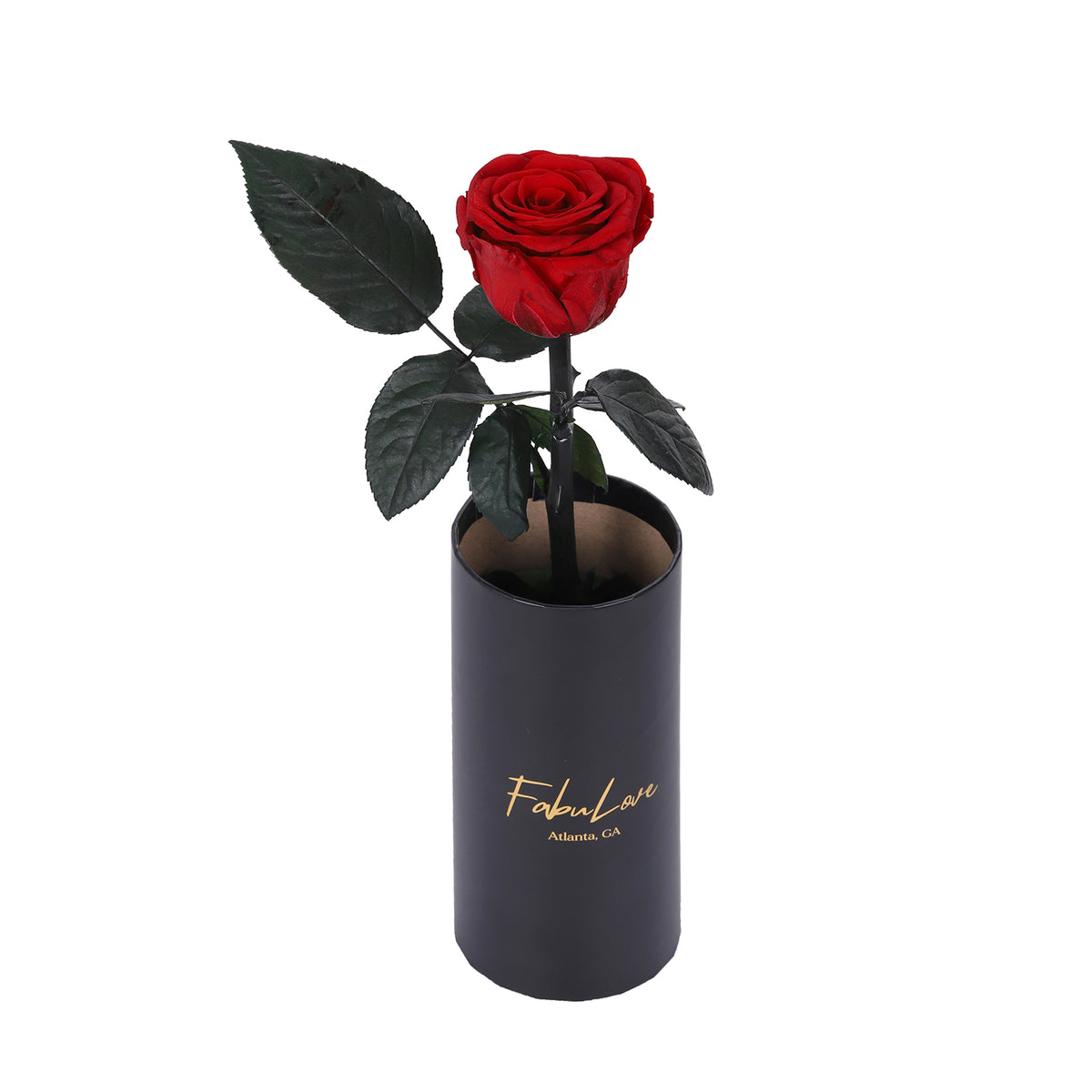 Classic Single Eternal Rose – FabuLove