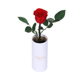 🎁 Rosa Eterna Clásica Individual (100% de descuento)