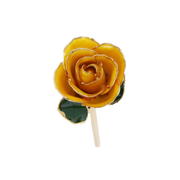 MAXSPT Rose Dorée 24 Carats - Véritable Rose Trempée Or Avec Support, Cadeau Romantique Pour Femme