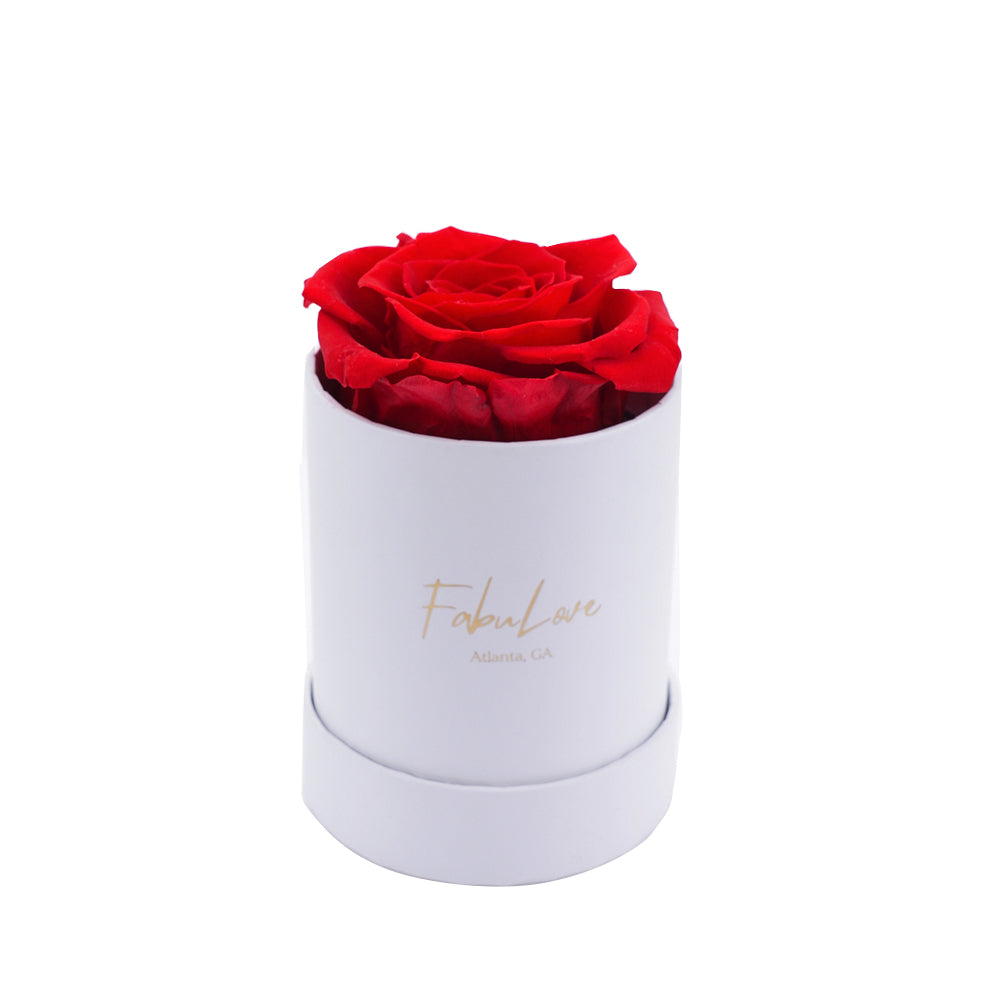 Single Eternal Rose Box - Circular – FabuLove