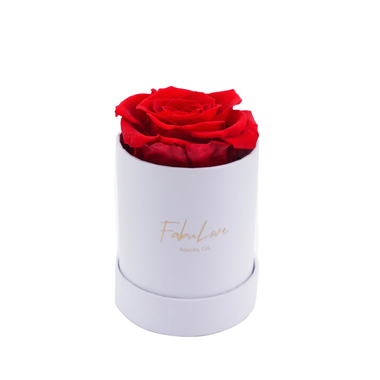 Eternal Blossom | Large Round Rose Box | Infinity Roses Year Lasting
