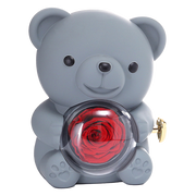 Eternal Rose Bear - m/ Graveret Halskæde