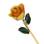 24k Guld Dyppet Rose
