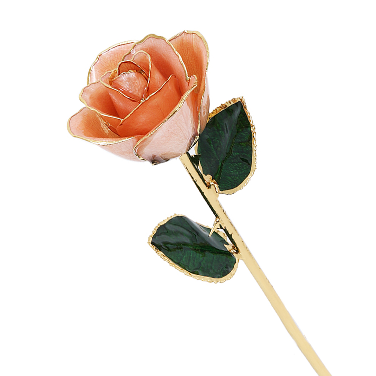 24k Gold Dipped Rose Gifts For Women Valentine's Day Bi... | Cuotas sin interés 24k Gold Dipped Rose Gifts For Women Valentine's Day Bi... | Cuotas sin interés