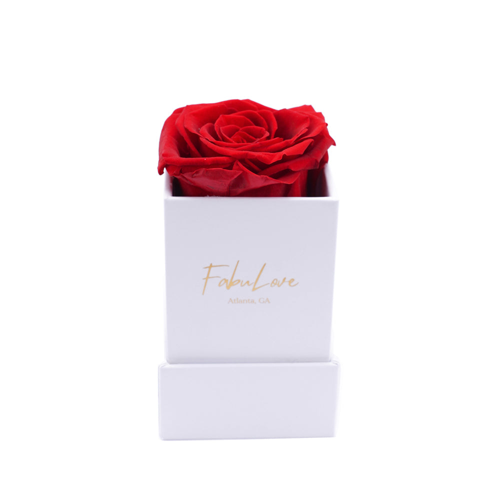 Single Eternal Rose Box - Cubed – FabuLove
